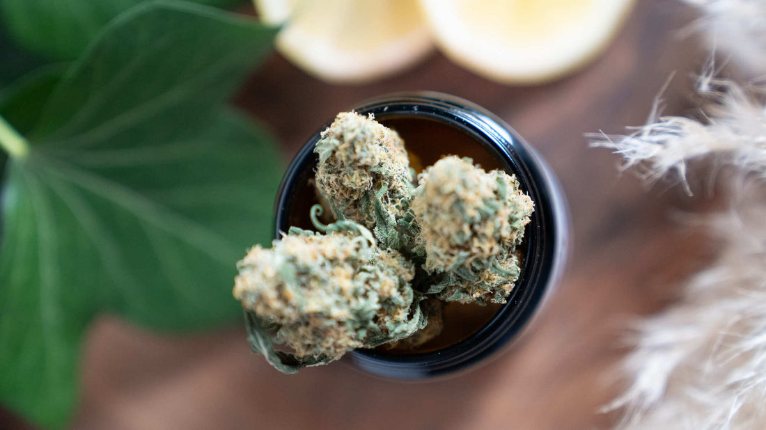 CBD Blüten in einem offenem Glas sind zu sehen 