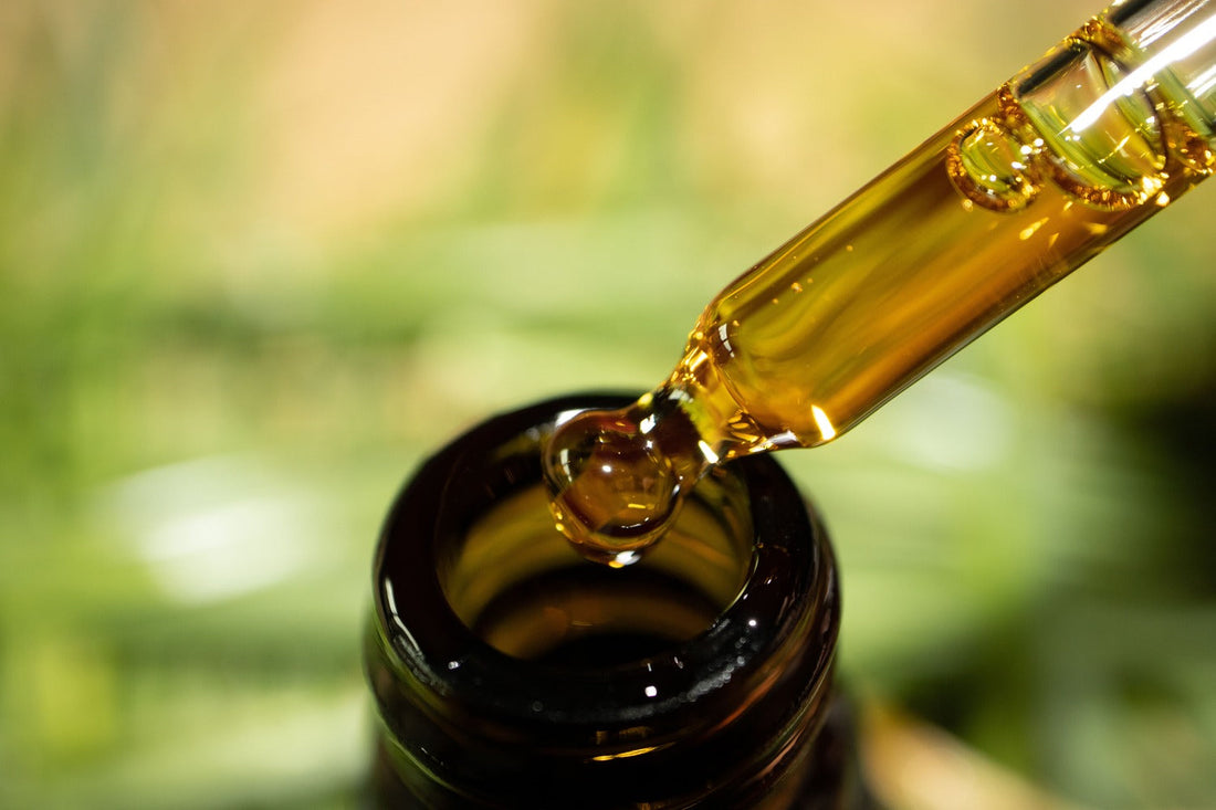 CBD Öl wird mit einer Pipette aus einer Braunglasflasche entnommen