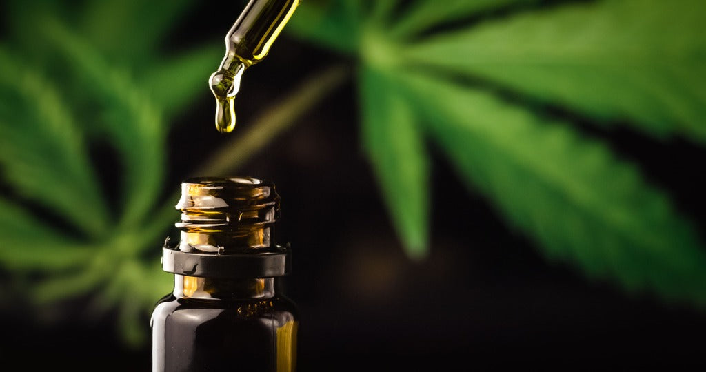 CBD Öl in Pipettenflasche vor Hanfblättern