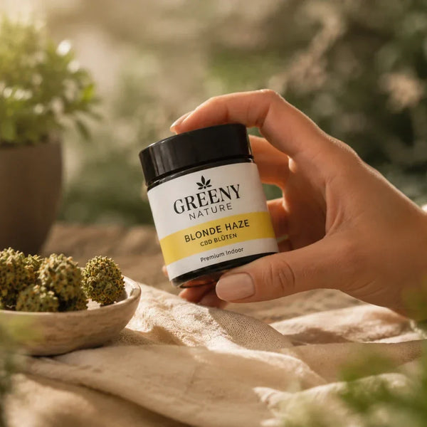 GreenyNature Blonde Haze CBD Blüten im Glastiegel in der Hand