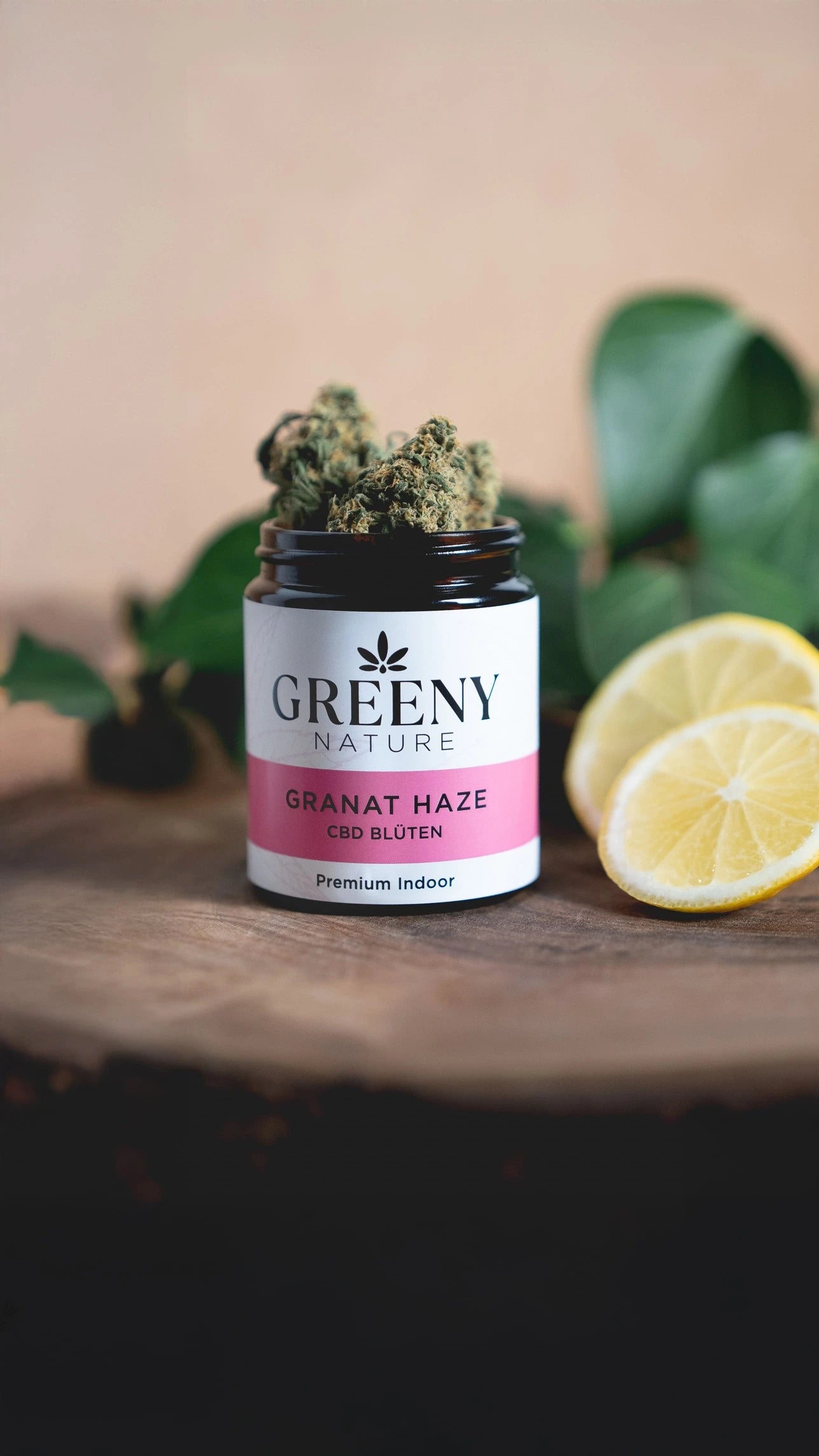 GreenyNature Granat Haze Amnesia Haze CBD Blüten im geöffneten Glastiegel neben einer Zitronenhälfte