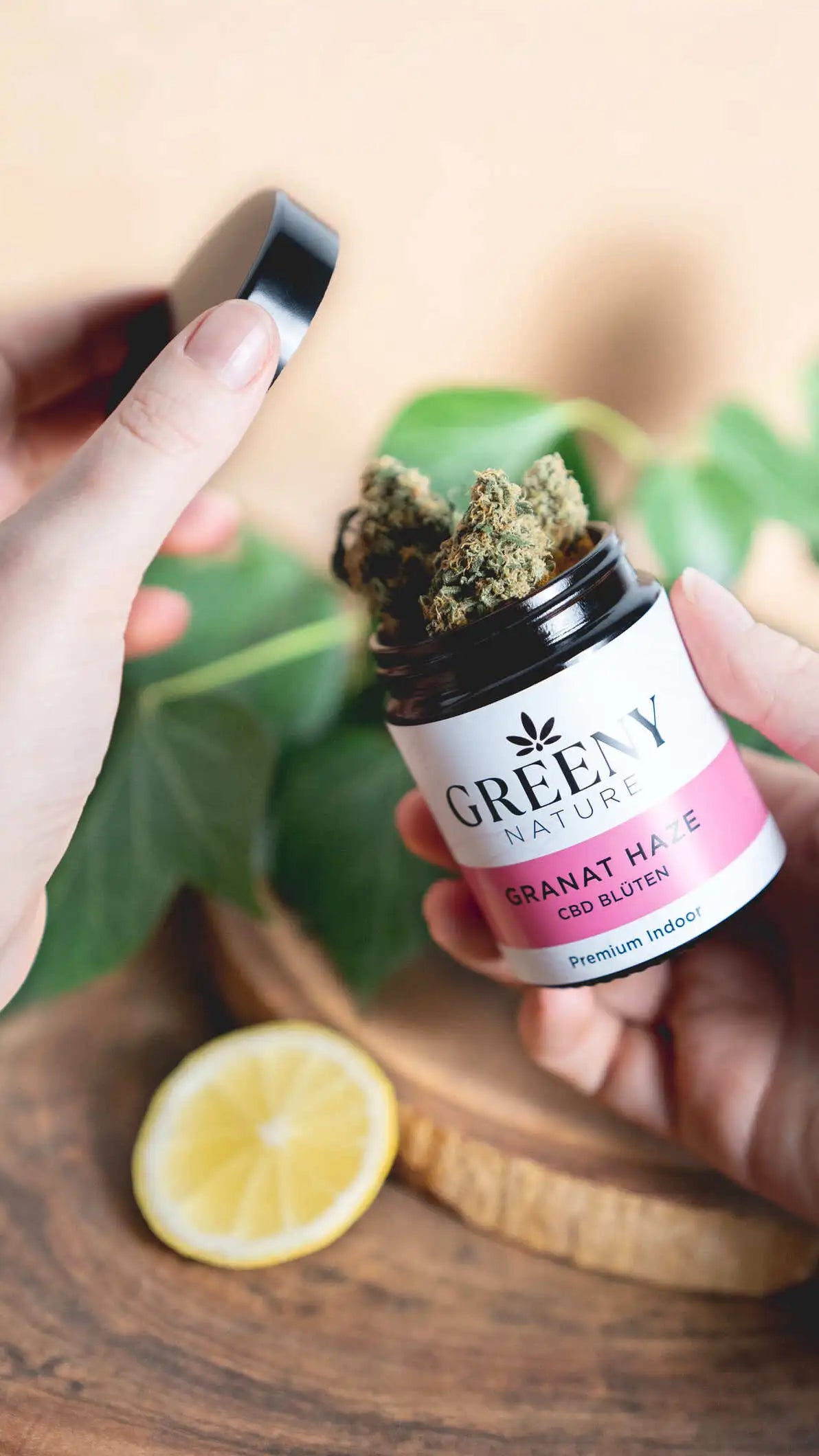 Hand hält GreenyNature Granat Haze Amnesia Haze CBD Blüten im geöffneten Glastiegel neben einer Zitronenhälfte